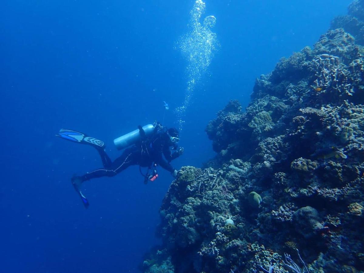 Love'S Beach & Dive Resort Moalboal Eksteriør billede